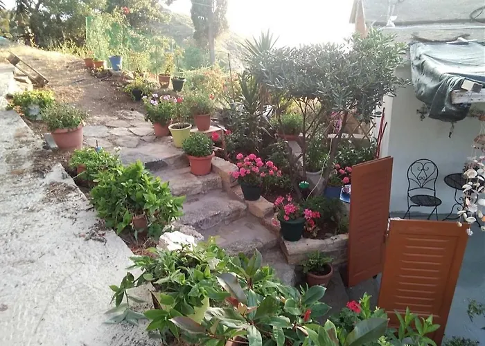 Ολόκληρο Σπίτι