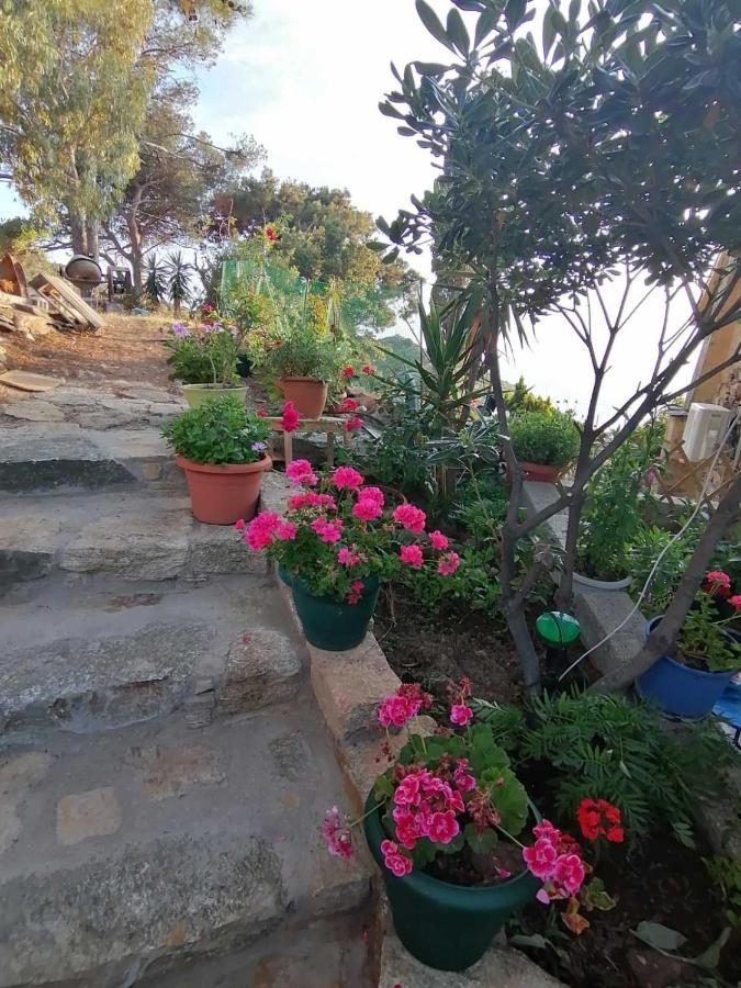 Case de vacanță ολόκληρο σπίτι *